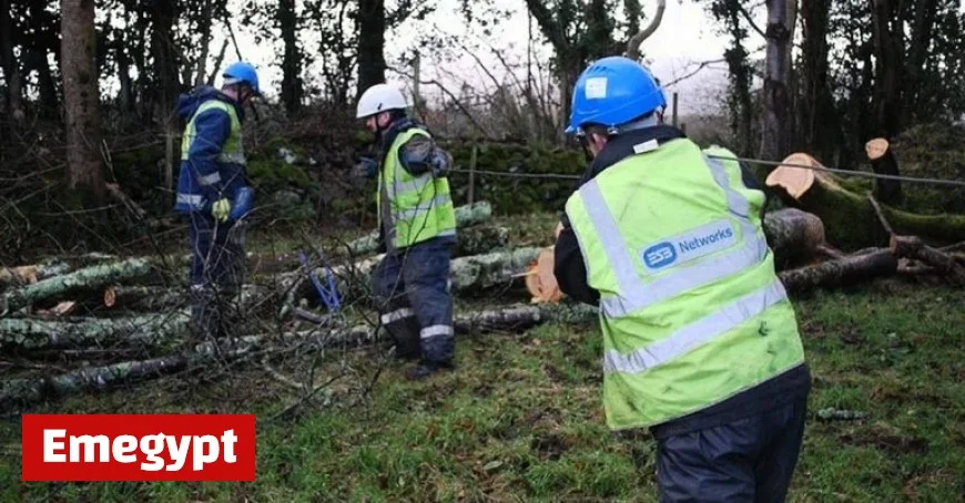 Storm Bram Leaves Sligo and Leitrim Residents Without Power