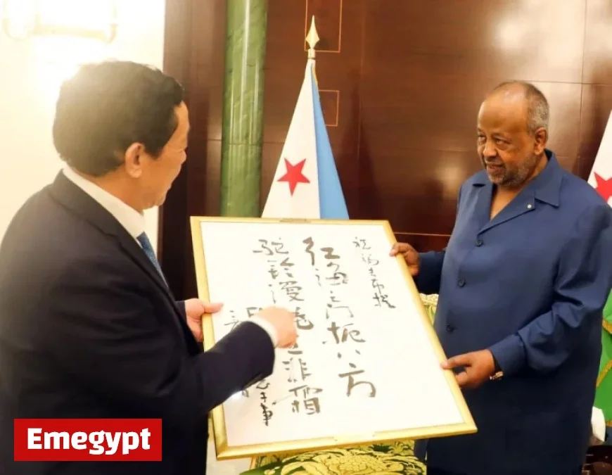 Engage in a Key Bilateral Meeting with President Ismaïl Omar Guelleh of Djibouti