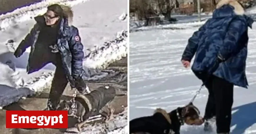 Norway Park dog attack Woman receives one-year jail sentence for assaulting 9-year-old boy