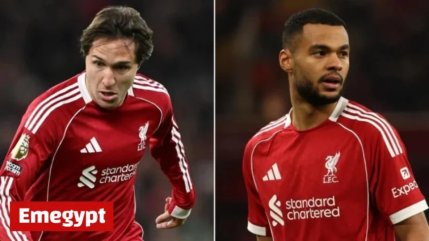 Latest Fitness Update for Federico Chiesa and Cody Gakpo