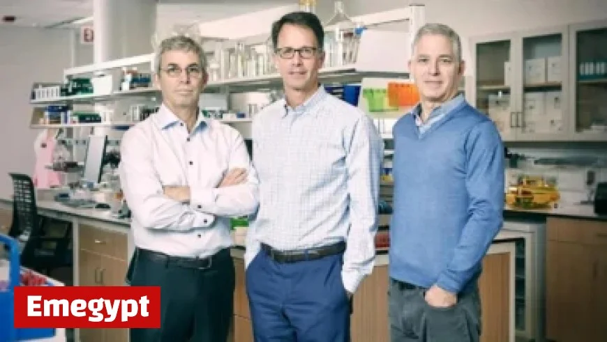 Galatasaray Seeks Victory in France: Possible Starting 11 Revealed