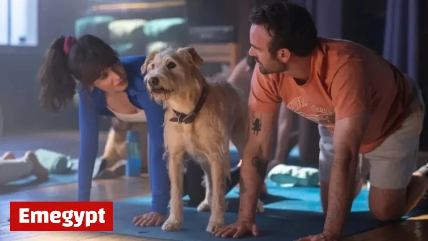 Merv Review: Adorable Terrier Steals the Show but Can’t Save Prime Video’s Dull Rom-Com
