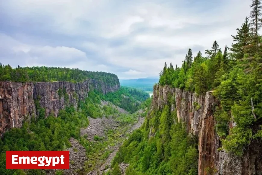 OINP Resumes with a Bang: Over 1100 Invitations Issued in Five New Draws After Two-Month Hiatus