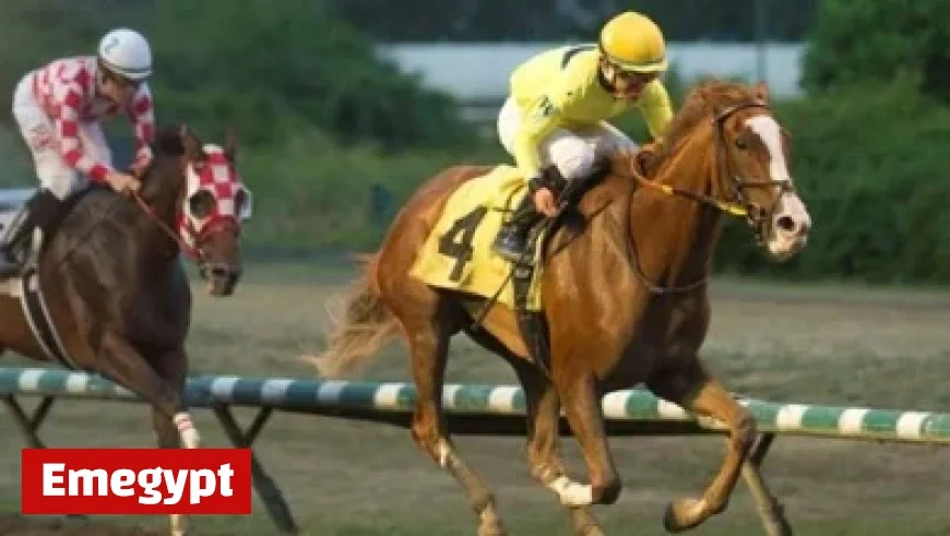 Sharks’ Celebrini Aspires for Prestigious Spot on Canada’s Olympic Roster