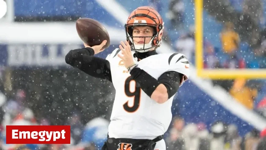 NFL Week 15 Clash Baltimore Ravens vs Cincinnati Bengals Picks Predictions and Odds