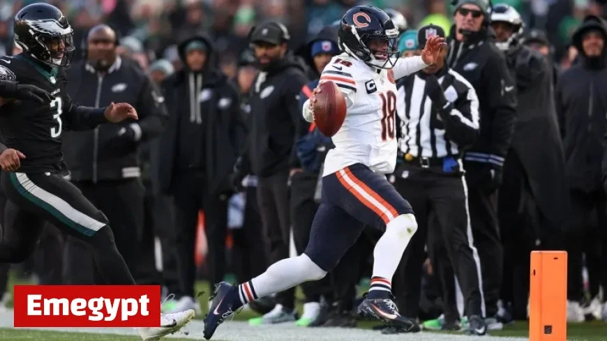 Bears vs Browns Weather Alert Potentially Hazardous for Outdoor Activities