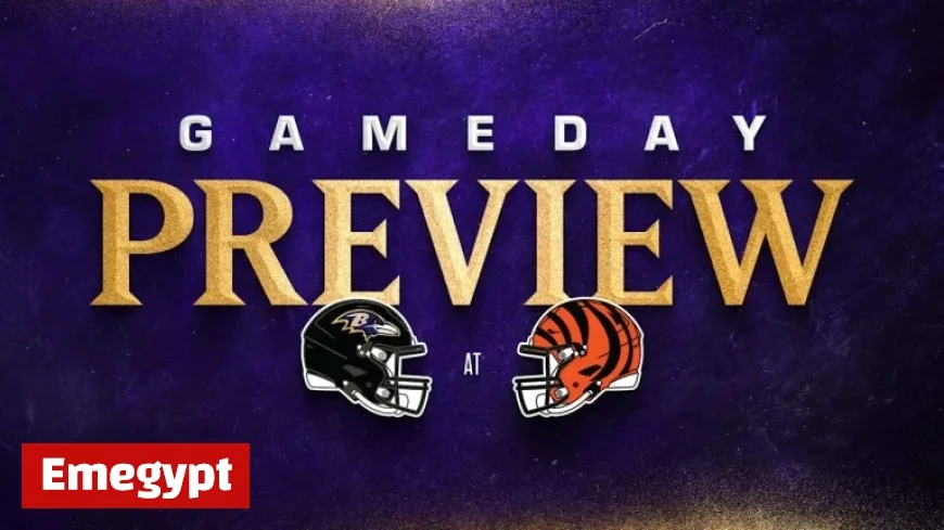 Ravens vs Bengals Ultimate Guide Everything You Need to Know