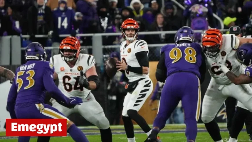 Frigid Temperatures Await Ravens and Bengals Showdown