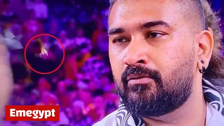 See the Instant Iconic Ally Pally Wasp Hit by a DART in Viral Moment