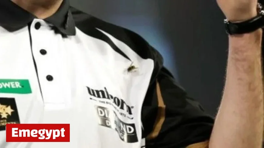 World Darts Championship 2026 Discover the Surprising Rise of Wasps at Alexandra Palace