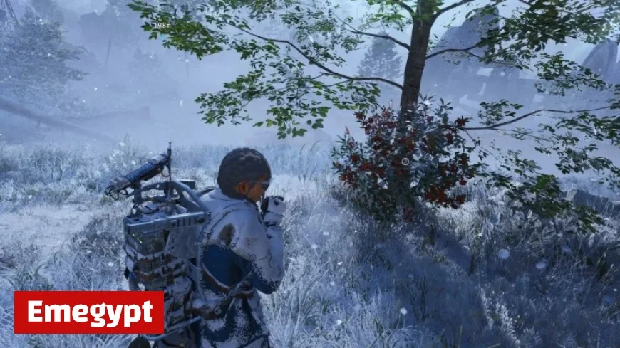 Discover How to Easily Find Candleberries in Arc Raiders