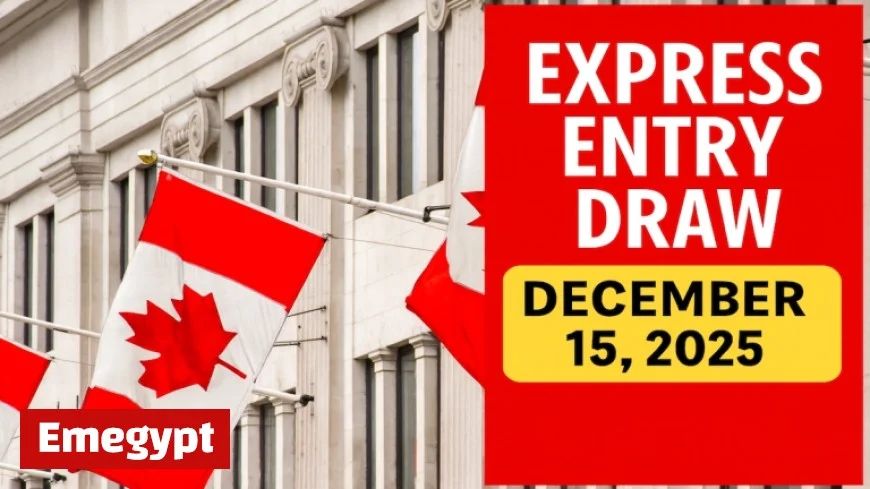Canada Issues 399 PR Invitations in Latest Express Entry Draw for Provincial Nominee Program