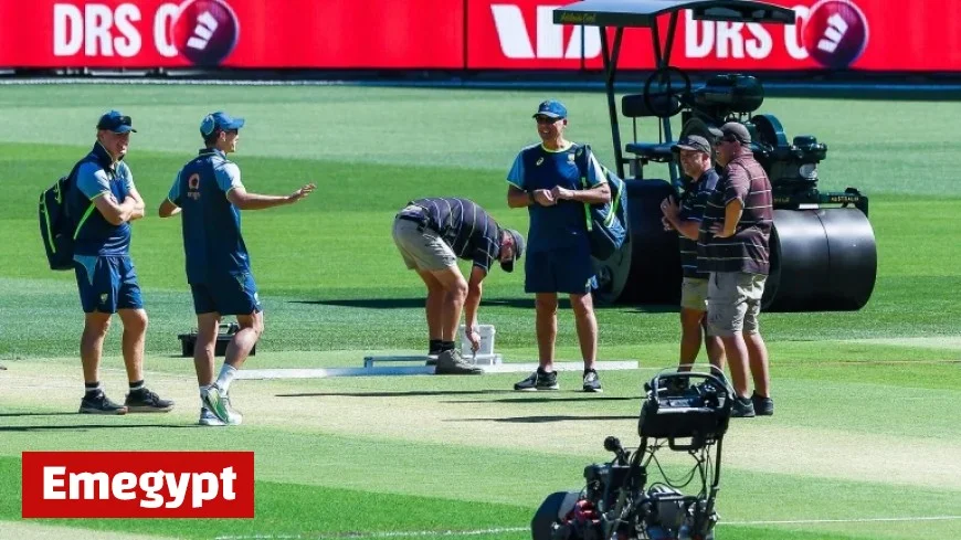 Follow Live Updates: Aussies Pursue Series Victory in Adelaide