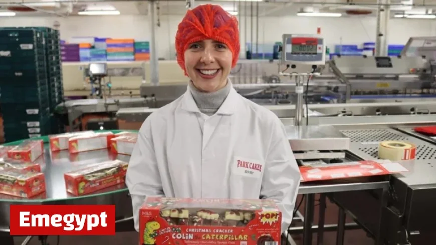 Explore the Magic of M&S This Christmas Season