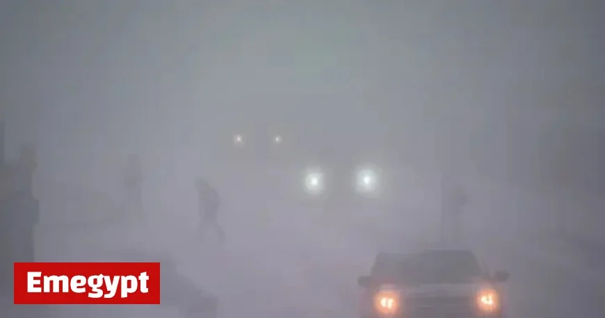 RCMP Issues Urgent Travel Warning for Alberta: Whiteout Conditions Pose Severe Risks on All Roads