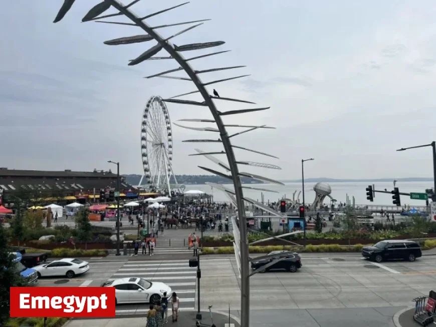 Angela Brady Chosen as Wilson’s Interim Pick for SDOT Director Role