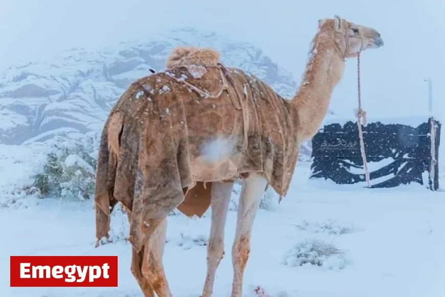Snow Transforms Saudi Arabian Desert into a Stunning Winter Wonderland